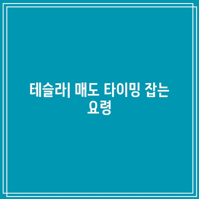 주식 매도 시점 파악하기: 엔비디아, 테슬라, 애플 사례를 통해