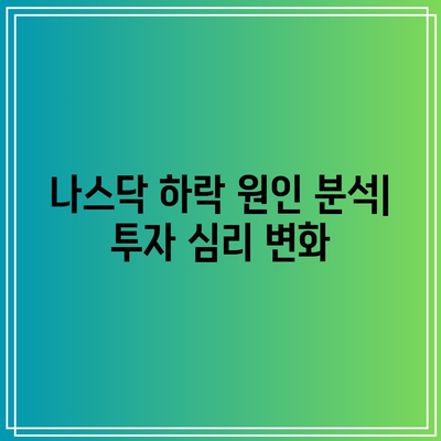 인공지능 버블 터질 것? 나스닥, 엔비디아, 테슬라 동반 폭락