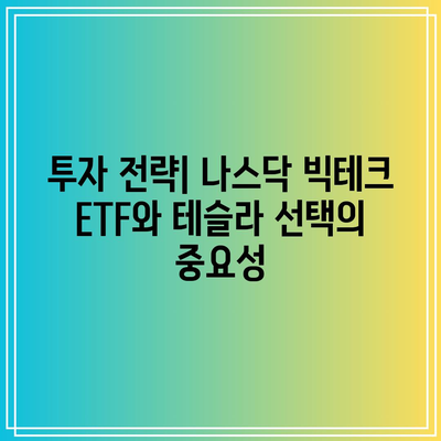 나스닥 빅테크 ETF 비교: 테슬라의 가치 평가