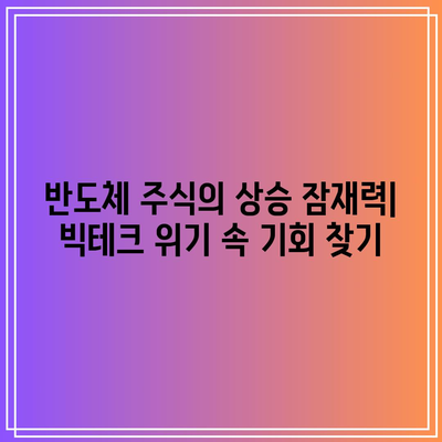 반도체 주식을 통해 빅테크의 굴락에서 이익을 취하세요.