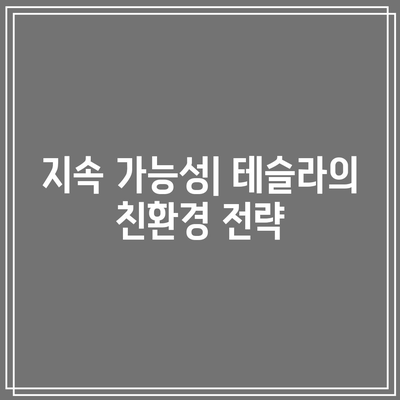 양전 효과를 만든 빅테크, 테슬라의 고공행진