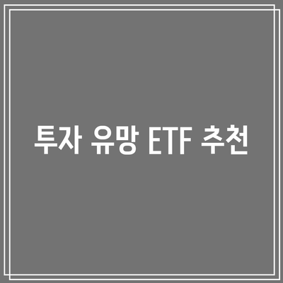 미국 빅테크 투자자에게 최고의 수익률을 안겨준 ETF