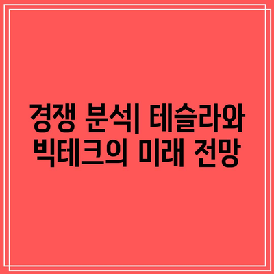 양전 효과를 만든 빅테크, 테슬라의 고공행진