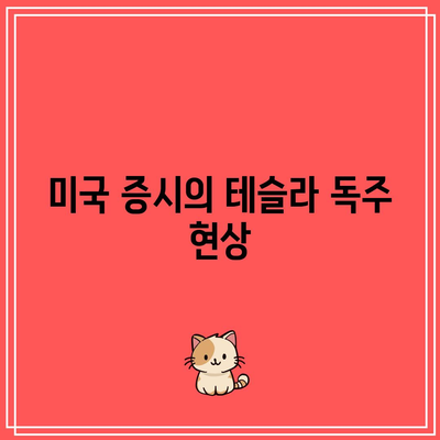 테슬라가 홀로 치솟고, 빅테크는 정체된 미국 증시