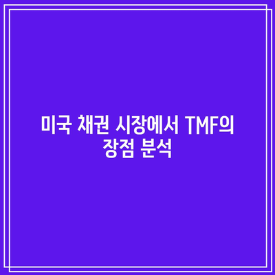 TMF의 진화: 미국 채권 투자에서 새로운 가능성