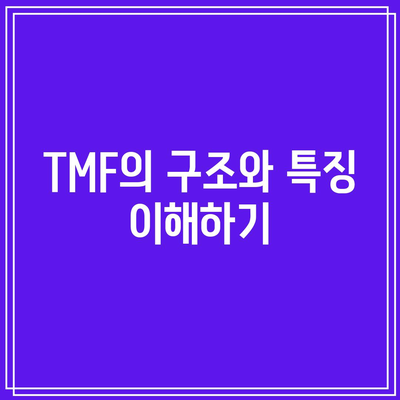 TMF와 채권 ETF 투자의 기본 원칙