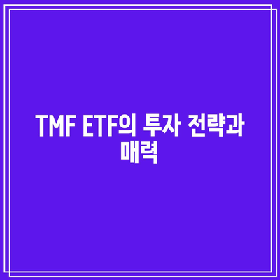 미국 장기 채권의 움직임을 추종하는 TMF ETF