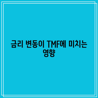 TMF: 금리 전략에 대한 포괄적 가이드