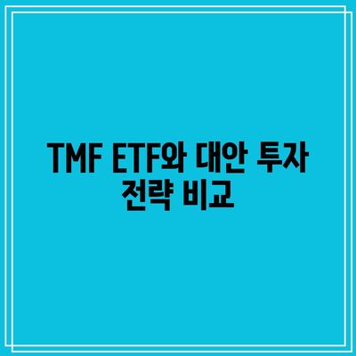 TMF ETF 투자 대안 탐구