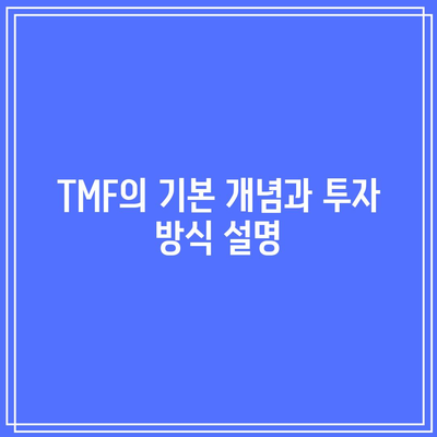 TMF 투자의 잠재적 이점과 단점 전망