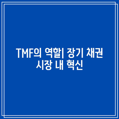 TMF: 장기 채권 시장에서의 혁신과 도전