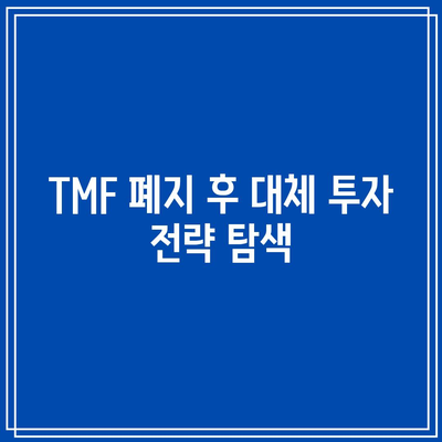 TMF 폐지 임박: ETF 투자자들의 대책 강구