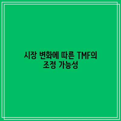 TMF 투자의 잠재적 이점과 단점 전망