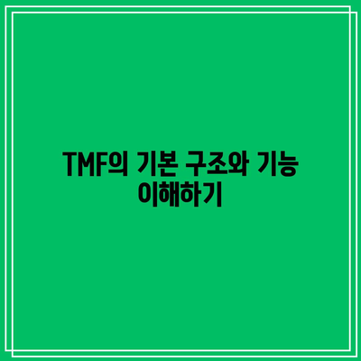 TMF의 진화: 미국 채권 투자에서 새로운 가능성