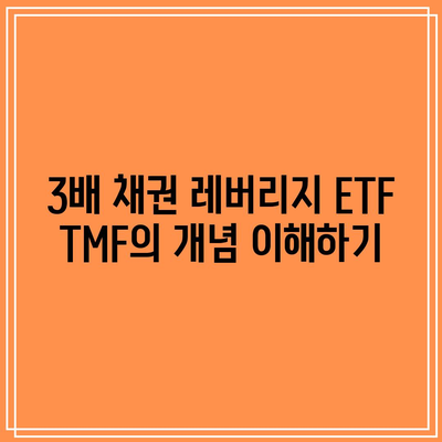 3배 채권 레버리지 ETF TMF 투자 가이드