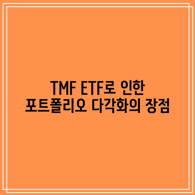 TMF ETF 투자의 장기적 전망과 기회 검토