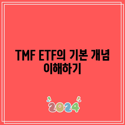 TMF ETF 투자 대안 탐구