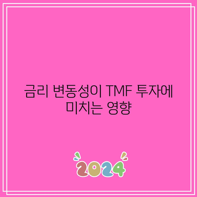 TMF 채권 비용과 금리 변동성: 투자자를 위한 잠재적 위험