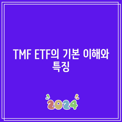 TMF ETF: 미국 국채의 잠재력 파악하기