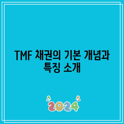 TMF 채권 비용과 잠재적 이익 탐구