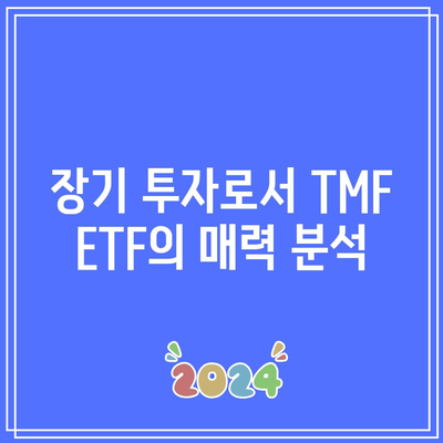 TMF ETF 투자의 장기적 전망과 기회 검토