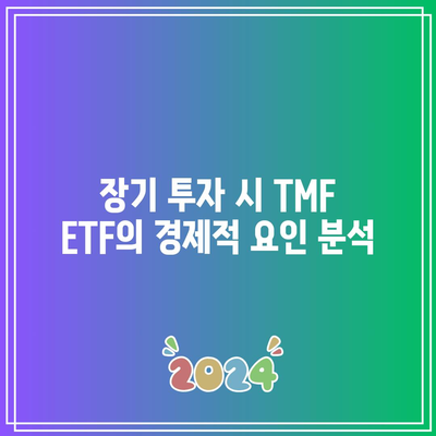 TMF ETF 투자 위험 요인 고려하기