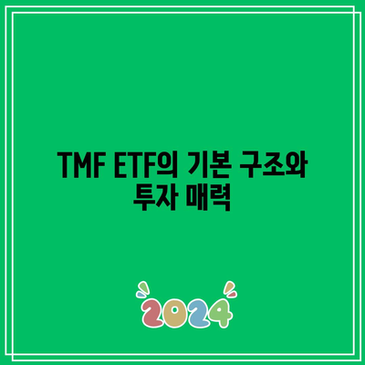 미국 장기 채권 ETF TMF: 위험 관리 전략을 갖춘 위험한 기회