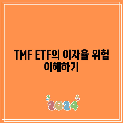 TMF ETF 투자 위험 요인 고려하기