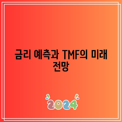 TMF와 금리: 상관관계 알아보기