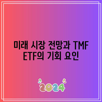 TMF ETF 투자의 장기적 전망과 기회 검토