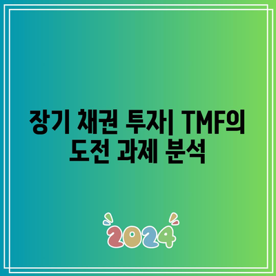 TMF: 장기 채권 시장에서의 혁신과 도전