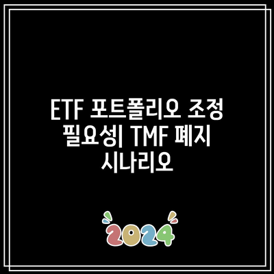 TMF 폐지 임박: ETF 투자자들의 대책 강구