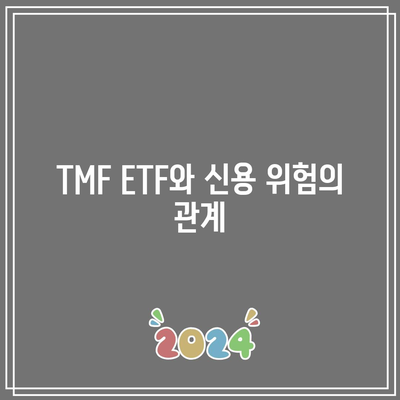 TMF ETF 투자 위험 요인 고려하기