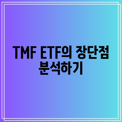 TMF ETF 투자 대안 탐구