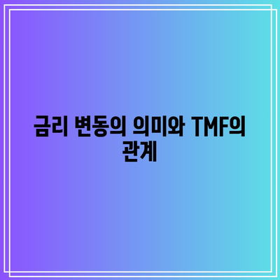 TMF: 금리 변동에 대한 과도한 노출로 인한 위험성