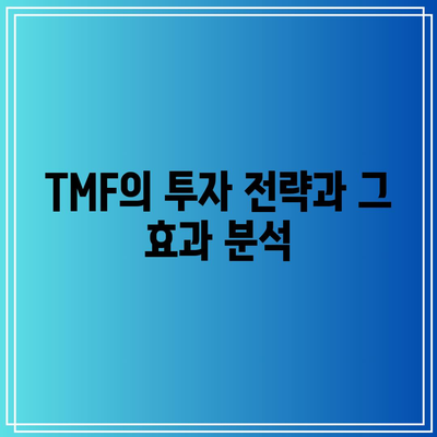 TMF: 미국 장기채 시장에 발전된 투자 접근 방식