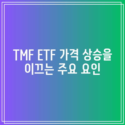 TMF ETF의 가격 상승 잠재력에 대한 전망