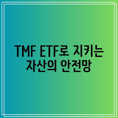 TMF ETF: 시장 변동성 속에서 균형 잡는 것