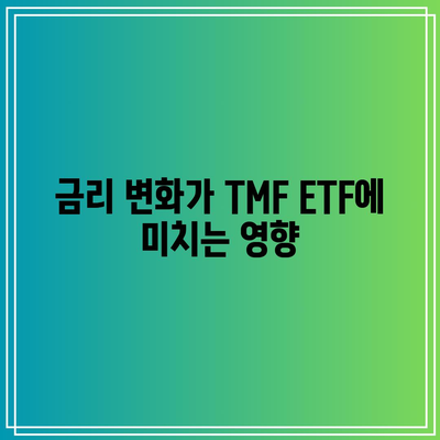 TMF ETF의 가격 상승 잠재력에 대한 전망