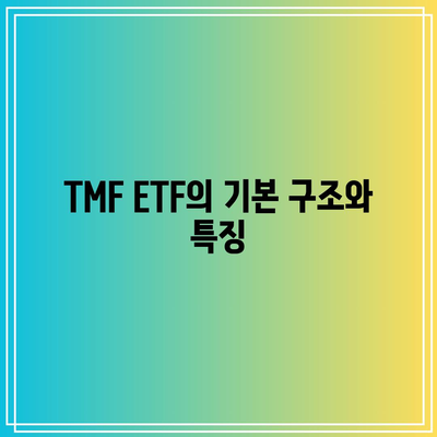 미국 국채 20년물 3배 레버리지 ETF (TMF) 투자