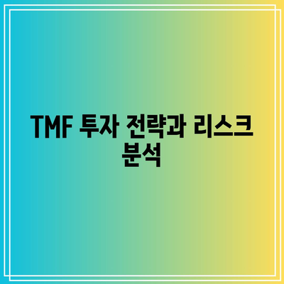 3배 채권 레버리지 ETF TMF 투자 가이드