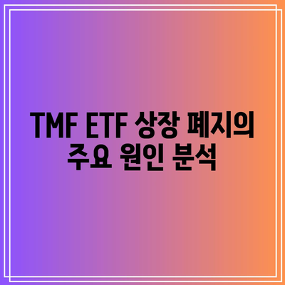 TMF ETF 상장 폐지: 이유와 영향