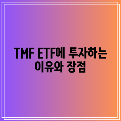 TMF ETF: 미국 국채의 급등에 대한 배팅