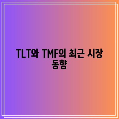 일본상장 2621 ETF 추천: TLT, TMF 3배 레버리지