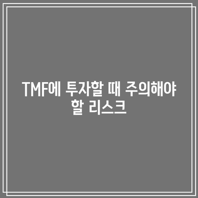 채권 투자 붐과 함께 생각해볼 질문: TMF (장기채 레버리지 ETF)