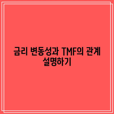 TMF를 활용한 금리 변동성 활용하기