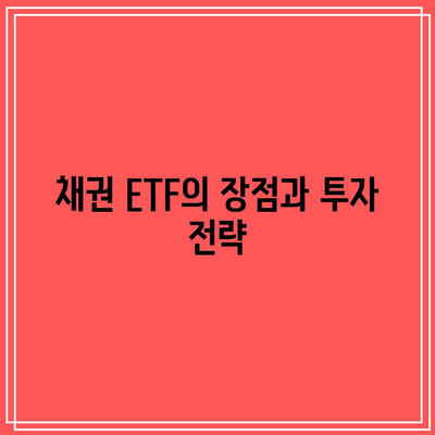 TMF와 채권 ETF 투자의 기본 원칙