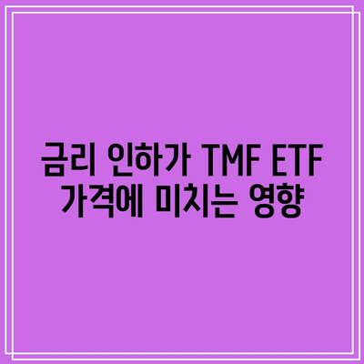 TMF ETF: 금리 인하와의 밀접한 관계 이해