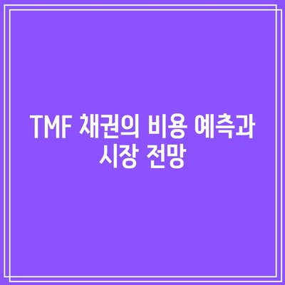 TMF 채권 비용과 금리 변동성: 투자자를 위한 잠재적 위험