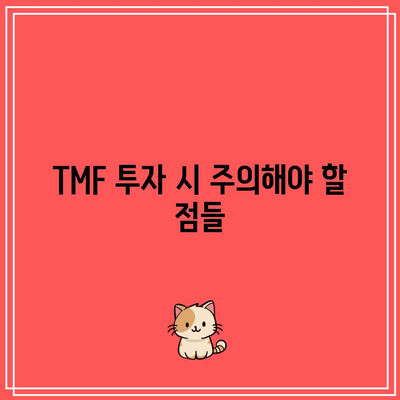 3배 채권 레버리지 ETF TMF 투자 가이드